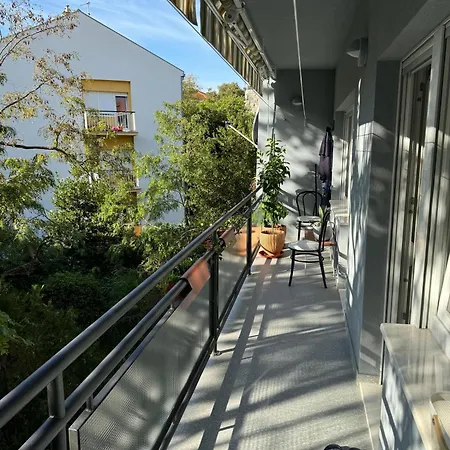 Crassula Aurea Split