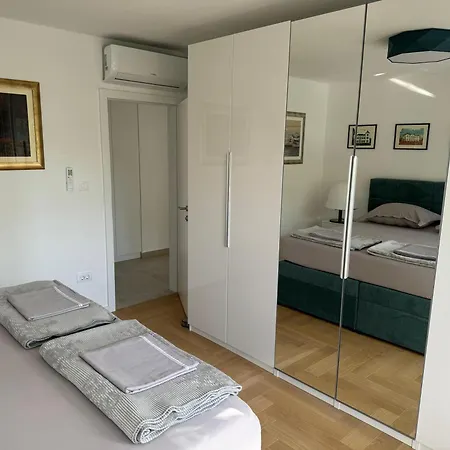 Crassula Aurea Daire Split